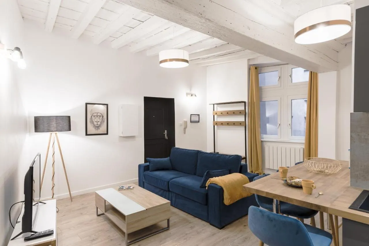 Le Nid Du Lion - Joli T2 Quartier St Georges Au Calme location