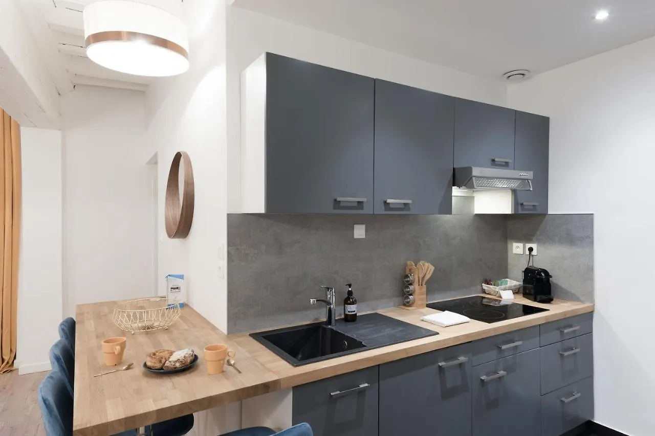 Apartmán Le Nid Du Lion - Joli T2 Quartier St Georges Au Calme Lyon Francie