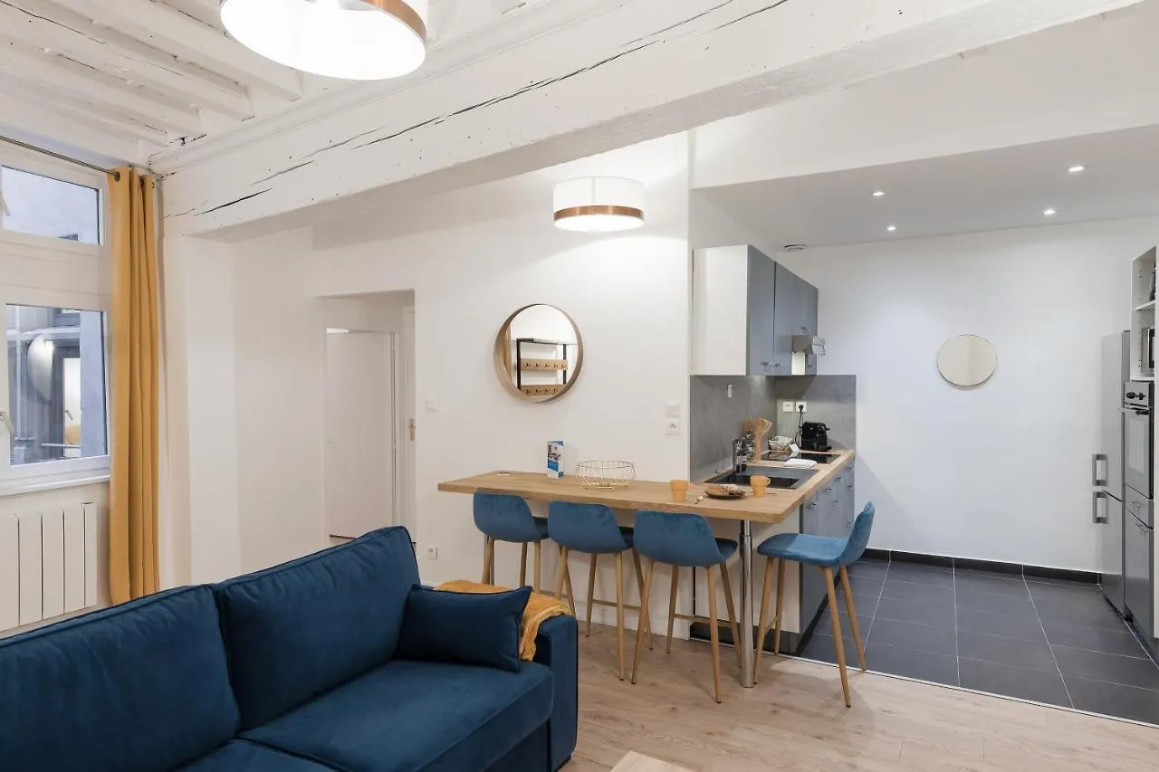 Apartmán Le Nid Du Lion - Joli T2 Quartier St Georges Au Calme Lyon